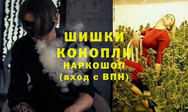гашик Аркадак