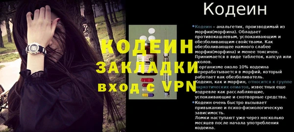гашик Аркадак