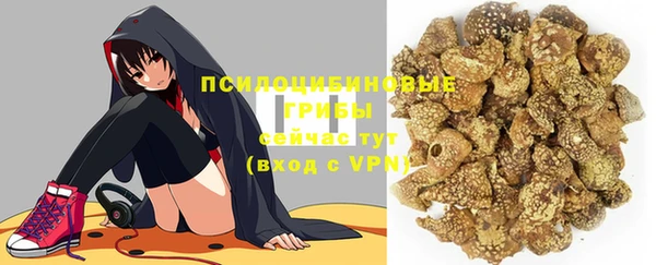 винт Армянск