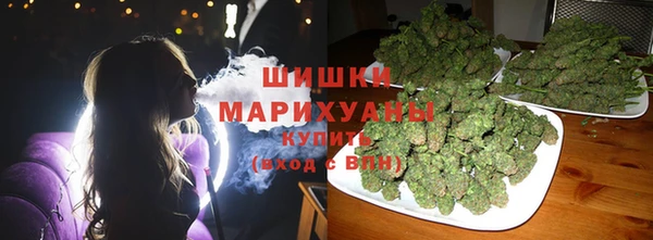 гашик Аркадак