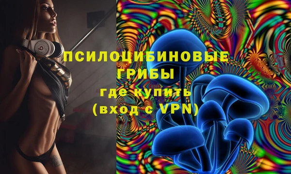 гашик Аркадак