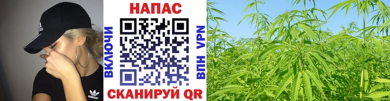 цены наркотик  Раменское  Шишки марихуана Bruce Banner 